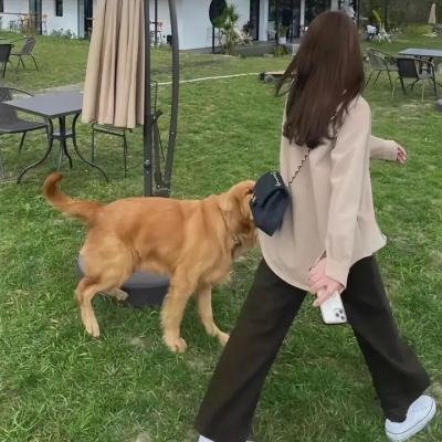 海绵宝宝之圣诞大阴谋